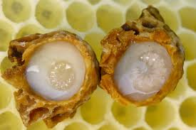 Royal Jelly reduces blood sugar in diabetic patients