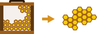 2- Removal of the Operculum of the Hives