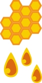 3- Extraction of Honey